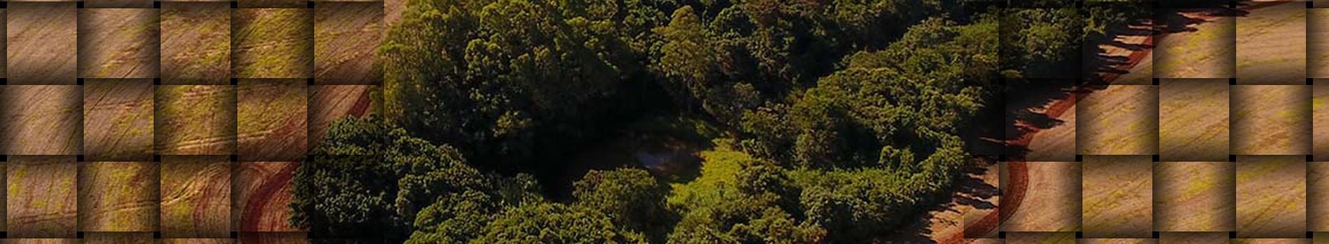 Banner superior - NRE Ivaiporã